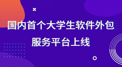 國內首個大學生軟件外包服務平臺正式上線，賦能創(chuàng)新實踐與技術人才培養(yǎng)